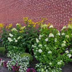 Mosinee City Park - Mosinee