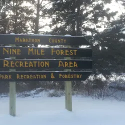 Nine Mile Forest Recreation Area - Mosinee