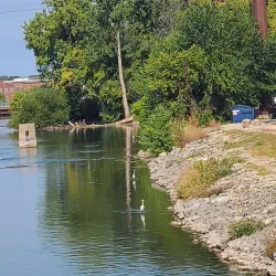 Neenah-Menasha YMCA - Neenah