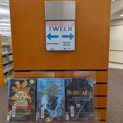 Neenah Public Library - Neenah