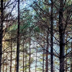 Kinnickinnic State Park - Osceola