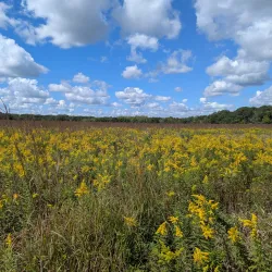 Kinnickinnic State Park - Osceola