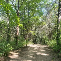 Kinnickinnic State Park - Osceola