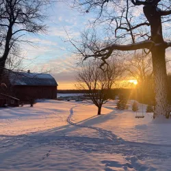 Osceola Farmers Market - Osceola
