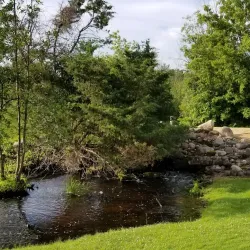 Osceola Golf Club - Osceola