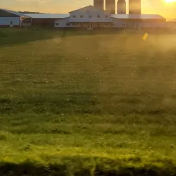 Osceola Historic District - Osceola