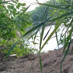 Osceola Historic District - Osceola