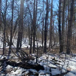 Osceola Trail System - Osceola