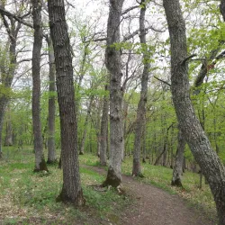 Osceola Trail System - Osceola