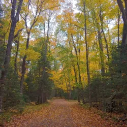 Osceola Trail System - Osceola