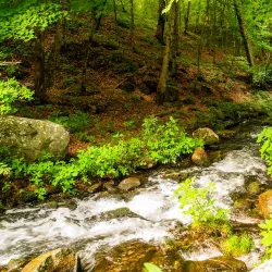 Osceola Trail System - Osceola