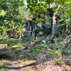 Osceola Trail System - Osceola