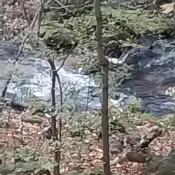 Osceola Trail System - Osceola