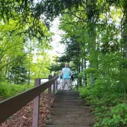 Bear Lake State Park - Rhinelander