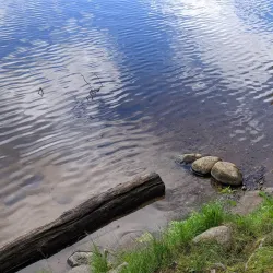 Bear Lake State Park - Rhinelander