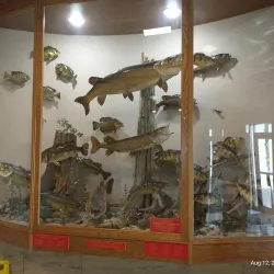 Oneida County Courthouse - Rhinelander