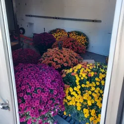 Rhinelander Flea Market - Rhinelander