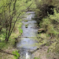 Downtown River Falls - River Falls