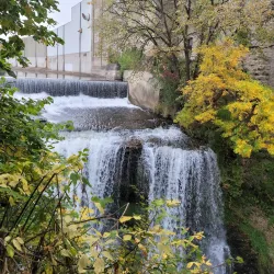 Hastings Park - River Falls