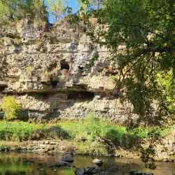 Hastings Park - River Falls