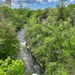 Hastings Park - River Falls