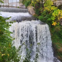 Hastings Park - River Falls