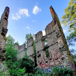 Hastings Park - River Falls