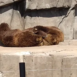 Wildwood Park - River Falls