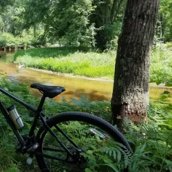 Green Circle Trail - Stevens Point