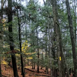 East Twin River Trail - Two Rivers