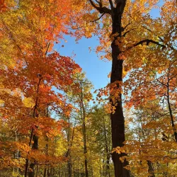East Twin River Trail - Two Rivers