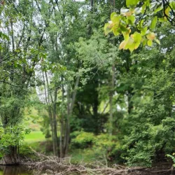 East Twin River Trail - Two Rivers