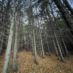 East Twin River Trail - Two Rivers