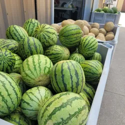 Two Rivers Farmers Market - Two Rivers