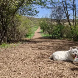 Prairie Moraine Preserve - Waunakee