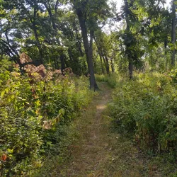 Prairie Moraine Preserve - Waunakee