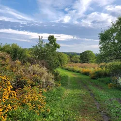 Prairie Moraine Preserve - Waunakee