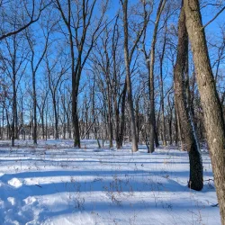 Prairie Moraine Preserve - Waunakee