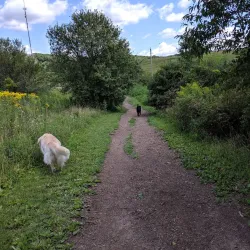 Prairie Moraine Preserve - Waunakee