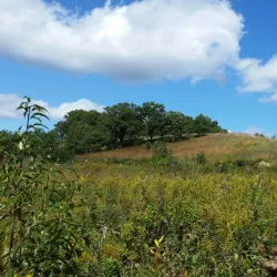 Prairie Moraine Preserve - Waunakee