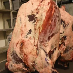 Waunakee Farmers Market - Waunakee