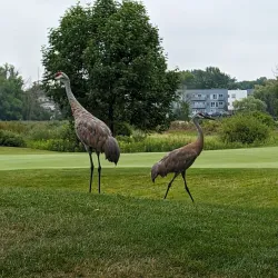 Waunakee Golf Course - Waunakee