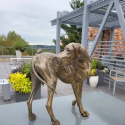 Leigh Yawkey Woodson Bird Sanctuary - Wausau