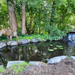 Leigh Yawkey Woodson Bird Sanctuary - Wausau