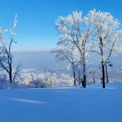 Rib Mountain State Park - Wausau