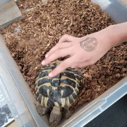 Wausau Center Mall - Wausau