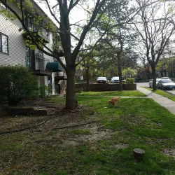 Tosa Village Square - Wauwatosa