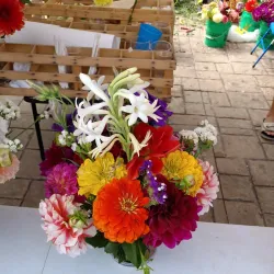 Wauwatosa Farmers Market - Wauwatosa