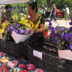 Wauwatosa Farmers Market - Wauwatosa