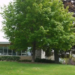 Wauwatosa Public Library - Wauwatosa